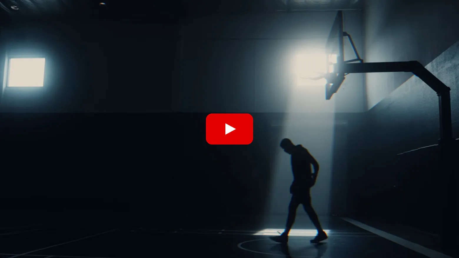 動画を再生する